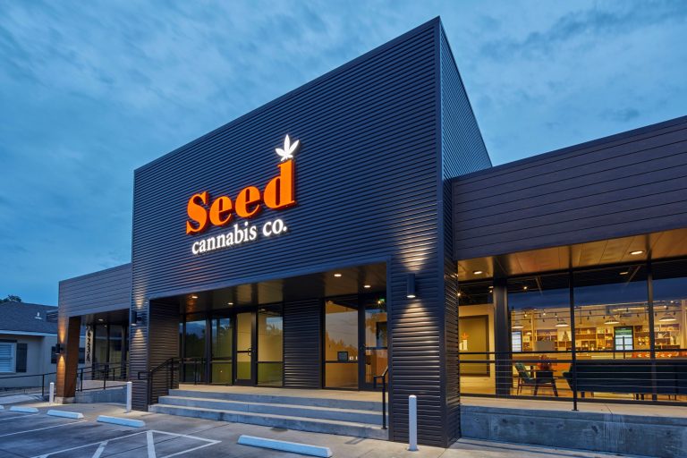 Seed 004resized 768x512