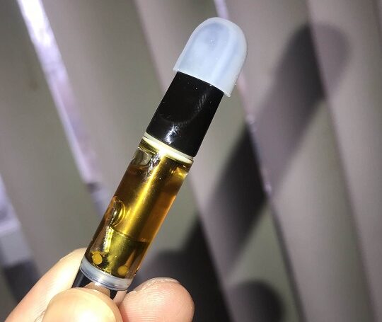 New Cart scaled 1 1 540x4551 1