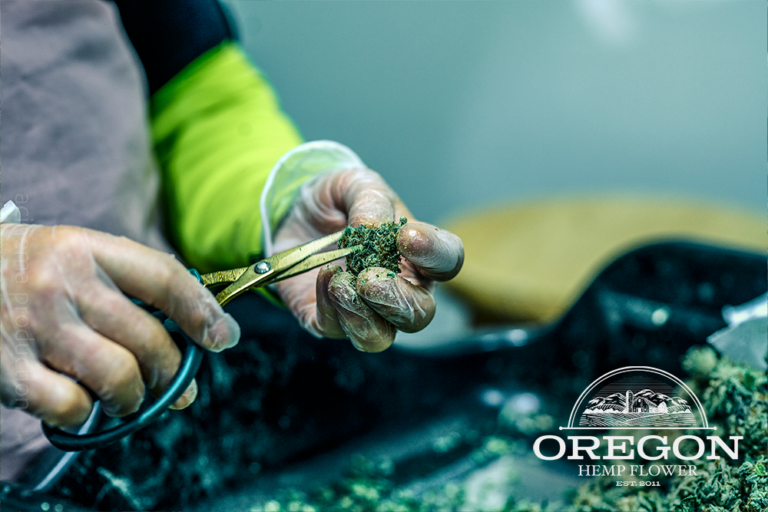 Oregon Hemp Flower 8 768x512