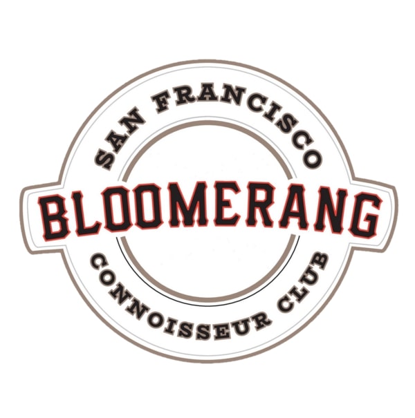 Bloomerang logo